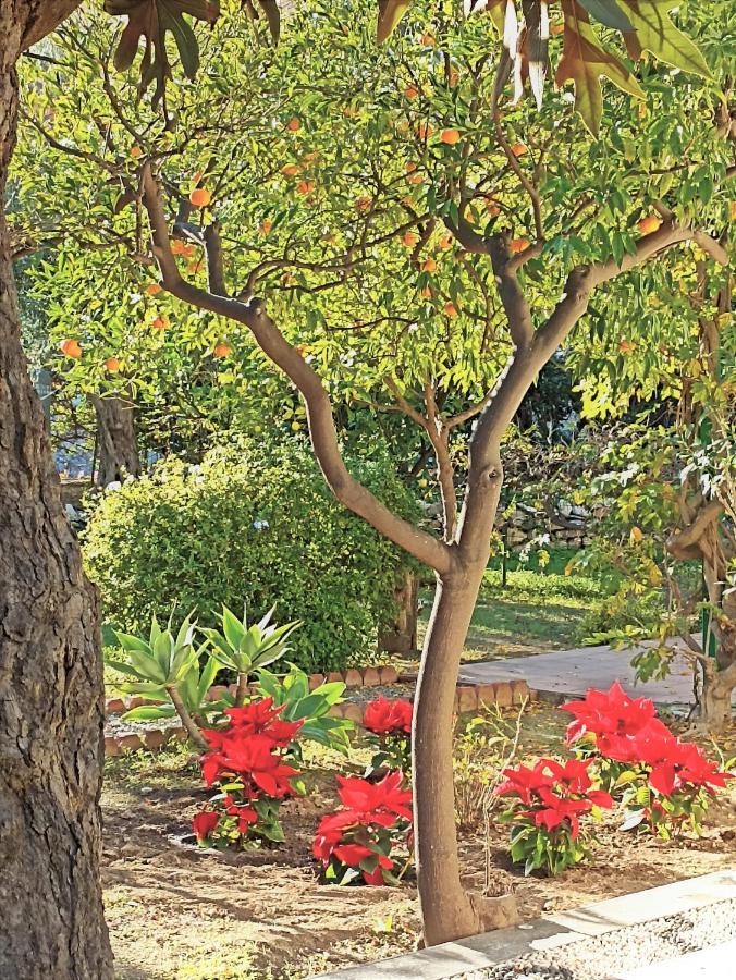 Seafront Garden House * Taormina