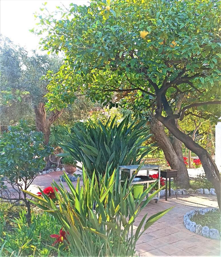 Appartement Seafront Garden House