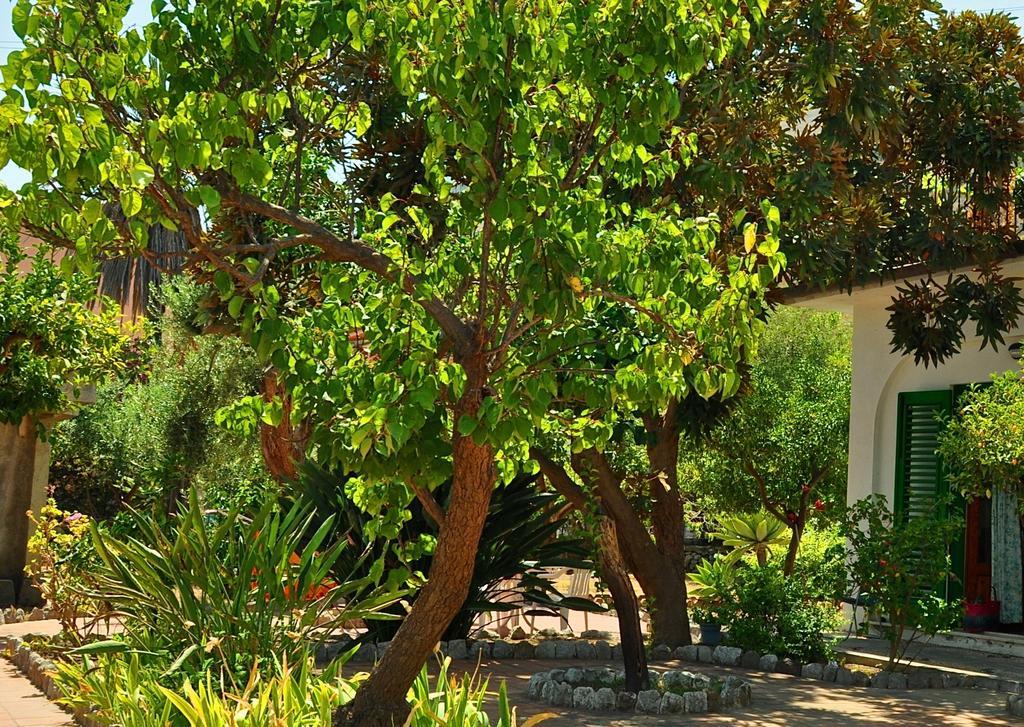 Seafront Garden House *