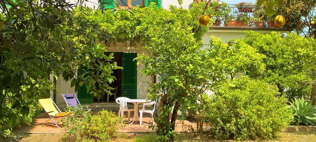 Seafront Garden House