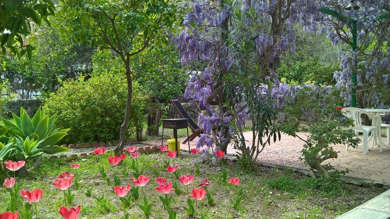 Appartement Seafront Garden House