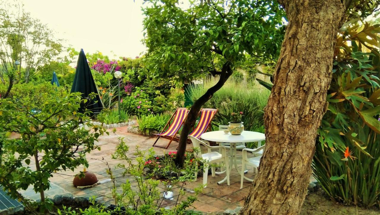 Seafront Garden House