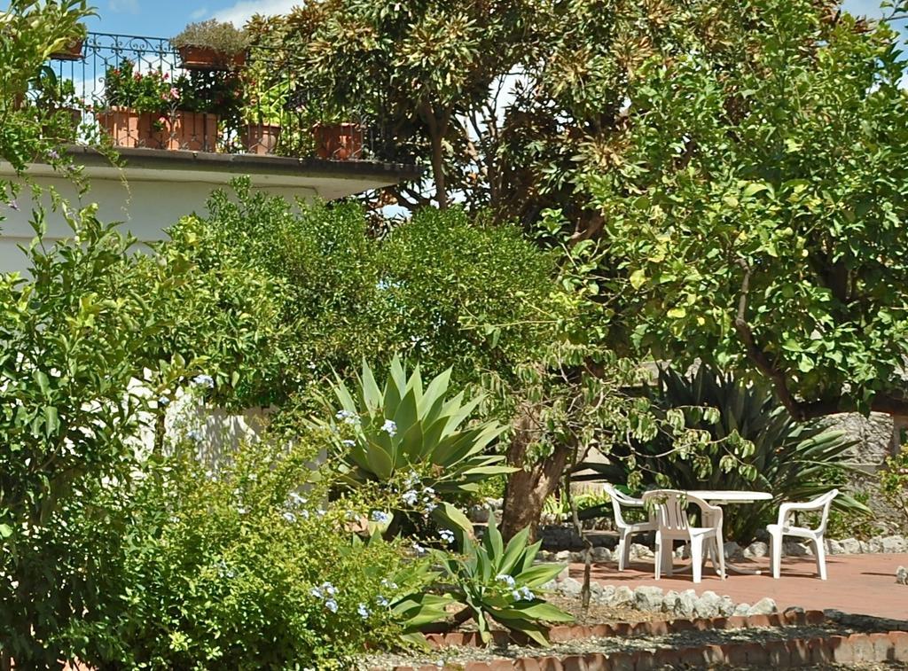 Seafront Garden House